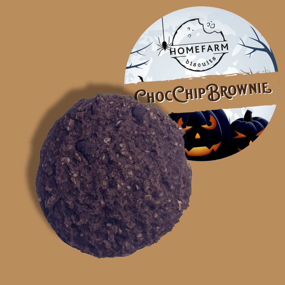 Halloween Chocolate Chip Brownie